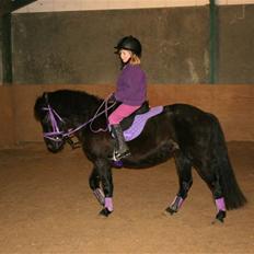 Anden særlig race Quite Beauty* solgt*