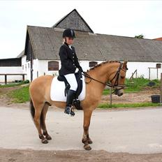 Anden særlig race Albert