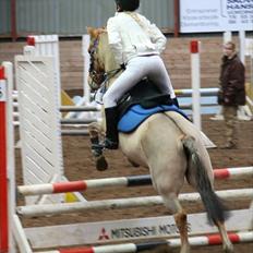 Anden særlig race Albert