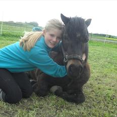 Shetlænder axel *SOLGT*:'(