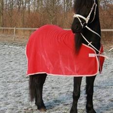 Frieser Ritsert - Ritte