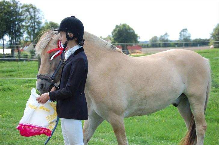 Fjordhest Jacob <3<3  - Første plads i dressur:-) billede 12