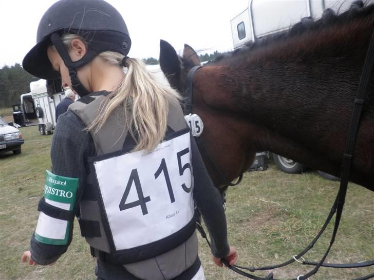 New Forest Thrustfull - anne går med thursty efter de lige har været ude i tærrenet billede 9