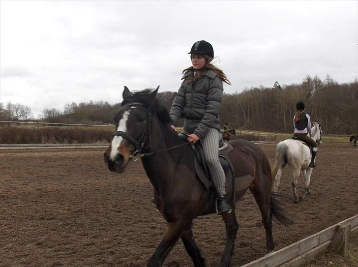 Connemara | Pickwick *gl. part :'(* - Hyp hyp :p Vi runder :) Foto: ?? billede 4