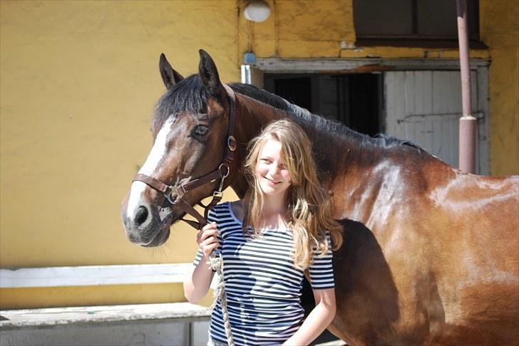 Connemara | Pickwick *gl. part :'(* - Dejlige hyggedyr Foto: ESC billede 5