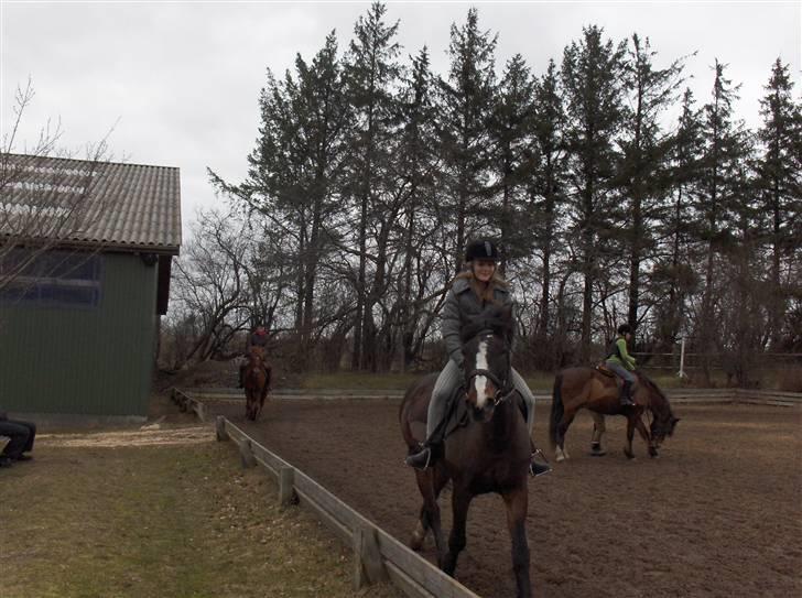 Connemara | Pickwick *gl. part :'(* - Jeg er bare den bedste :P Foto: mor billede 6