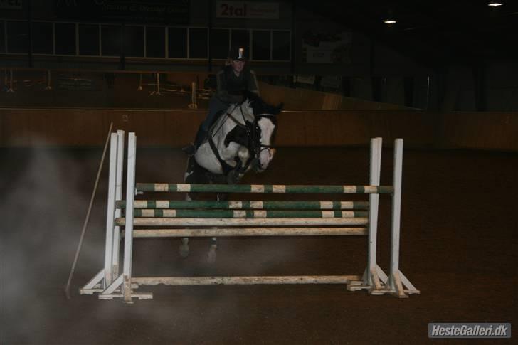 Pinto KLUBMESTER '10 Cheyenne - Højdespringning d. 29/12-09 springet er 130cm ;D Foto- Sofie Thorgaard billede 16