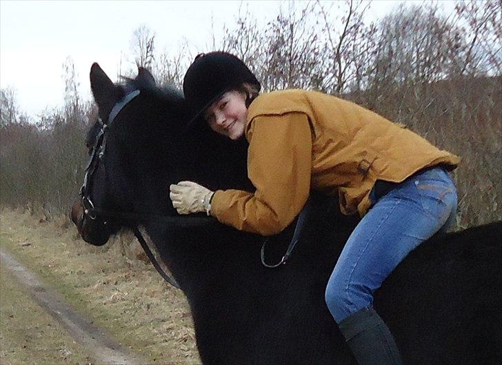 New Forest Hamborgs Bellis "Belle" **SOLGT** - Den dejligste New Forest hoppe Hamborgs Bellis<3 billede 4