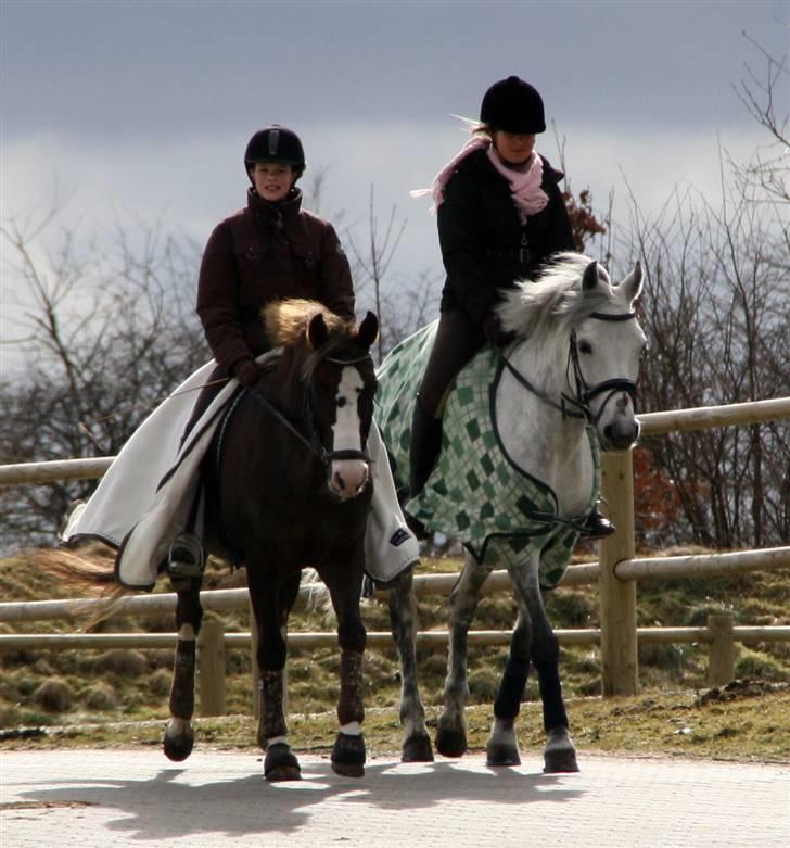 DSP Marchi  ESPH A-pony *pension* - tur med Jane og Patrick billede 9