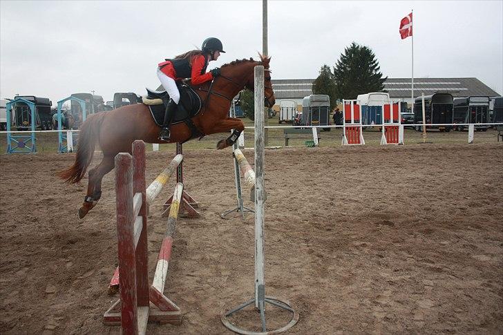 Anden særlig race Silas *B-pony* - SOLGT - Velkommen til Silas profil - med min søster til stævne, mb på slr opvarmning :-) billede 1