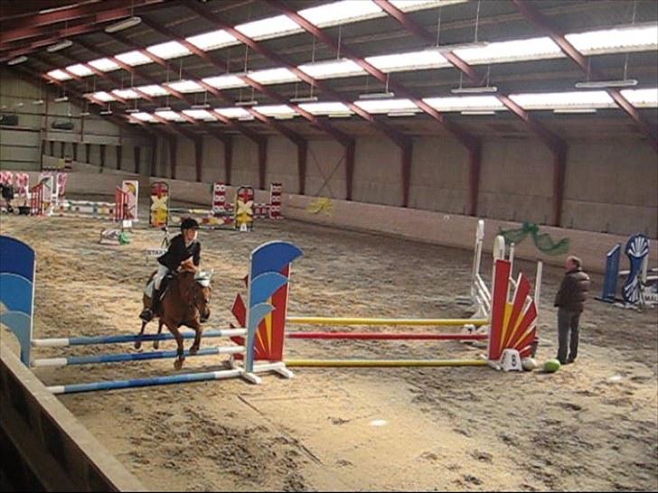 Anden særlig race Silas *B-pony* - SOLGT - LB på capacity med mig (-; <3 billede 3