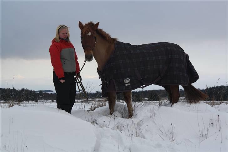 Anden særlig race Red Cappucino  - Louise og Cappucino vinter 2010 billede 7
