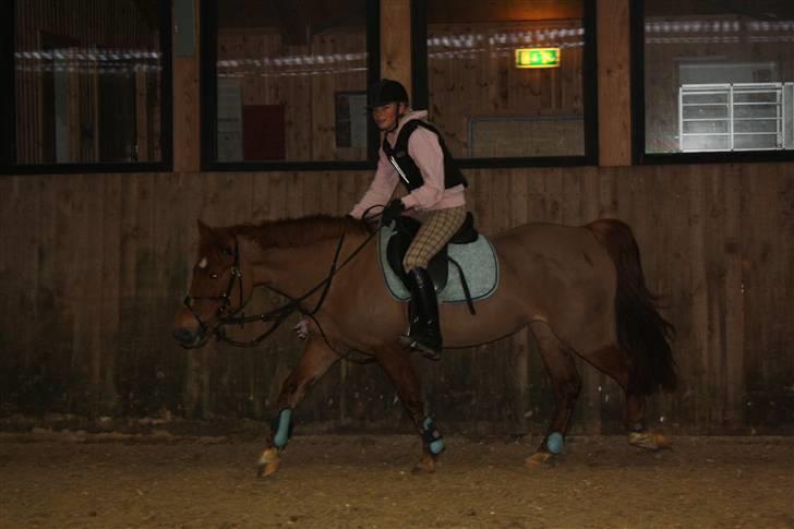 Anden særlig race Red Cappucino  - et velfortjent klap;-) billede 10