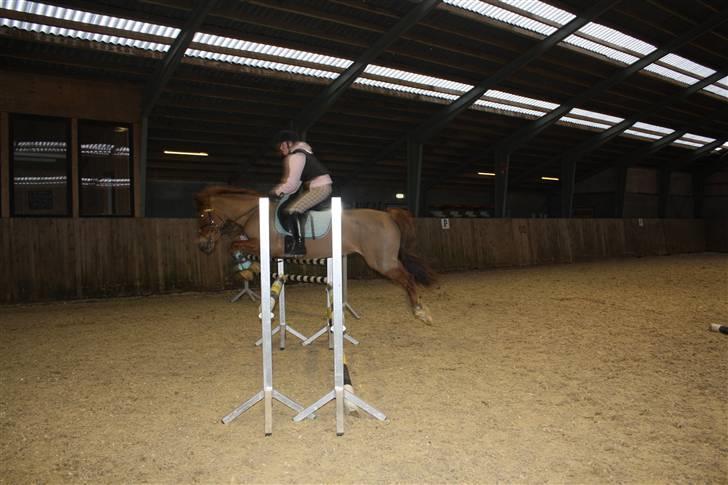 Anden særlig race Red Cappucino  - bare følg med:) billede 11