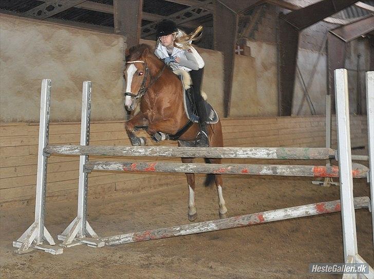 Svensk Sportspony  Puma (solgt :'(<3 - Puma og jeg springer 125cm! billede 12