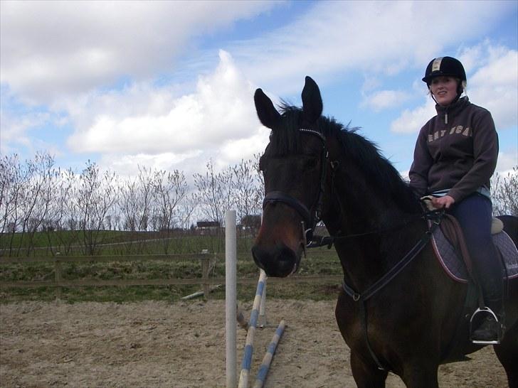 Holstener Lalido MS *SOLGT* billede 3