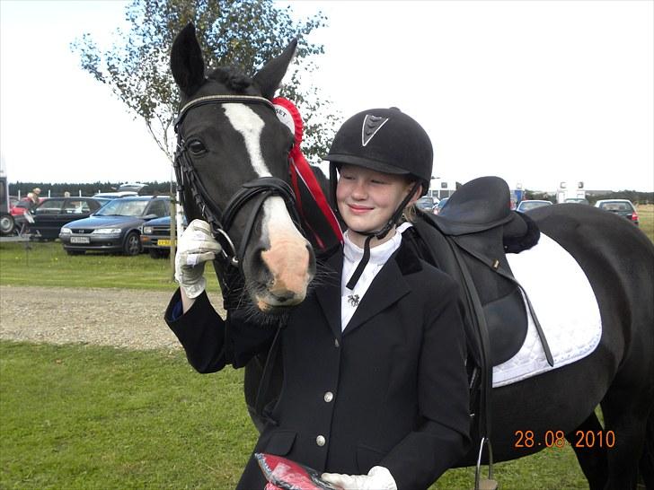 Welsh Pony (sec B) Pinoir - velkommen til Pinoirs profil- vores dejlige 1.plads xD  billede 1