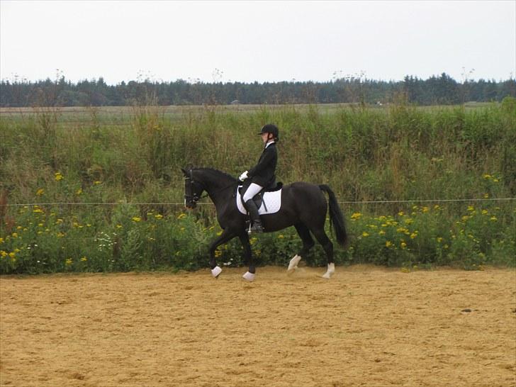 Welsh Pony (sec B) Pinoir -  Mig og Pinoir´s første stævne
Lc1 til 65,17- 2.plads billede 13