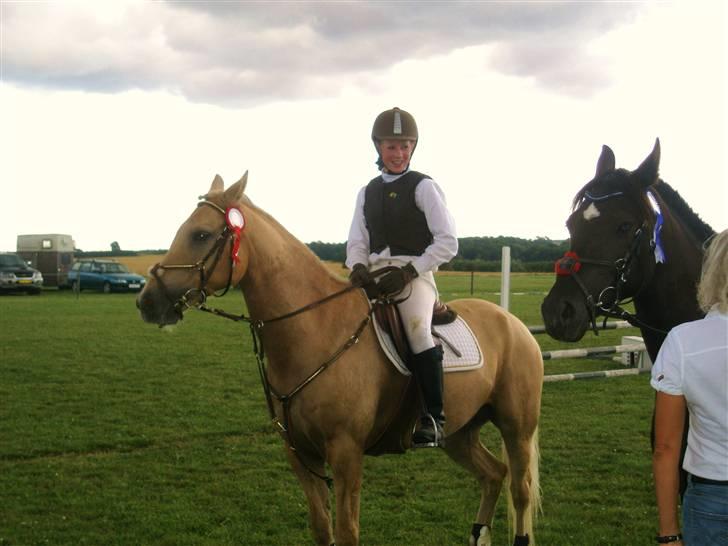 Palomino Bornhorse Pelle - vundet spring stævne billede 11