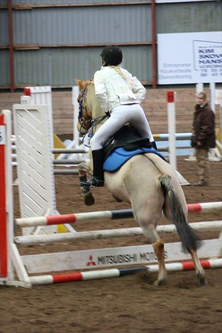 Anden særlig race Albert - Foto Af: BKB FotoGraf: Brizette Bøttcher

Stævne Vosk 2011 billede 2