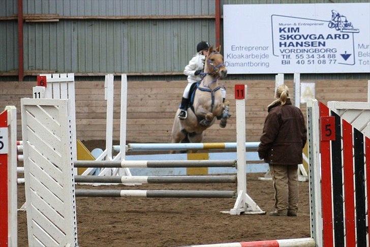 Anden særlig race Albert - Foto Af. BKB FotoGraf: Brizette Bøttcher
Spring stævne VOSK 2011 billede 4