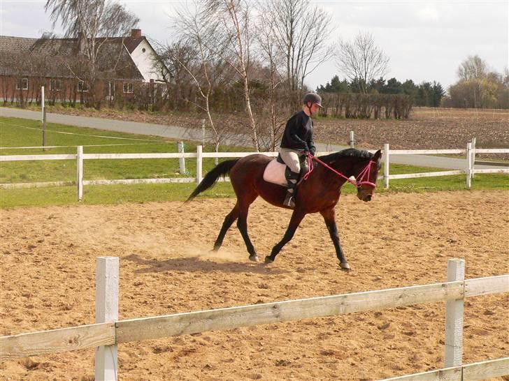 Traver Regitze Højgård R.I.P - Regitze og jeg opvarmer til spring 17/4-2010 billede 11