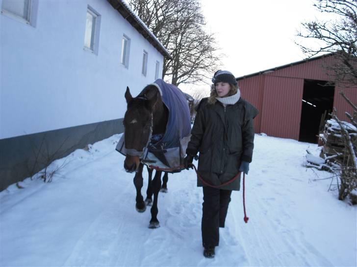 Fuldblod (XX) Eduard - Eddie **DØD**?! billede 2