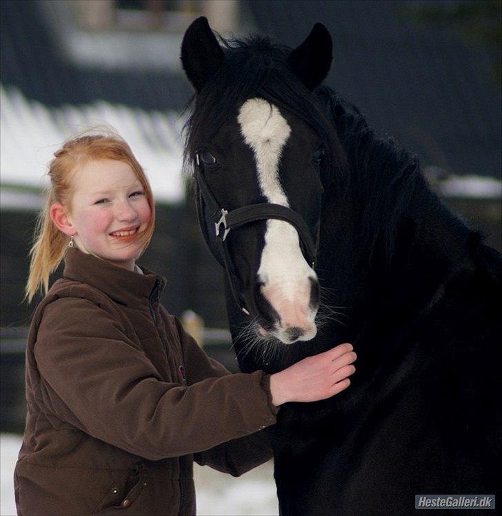 Welsh Pony (sec B) Pinoir - LOVE YOU SO MUCHS ! ! ! ! <33 4-ever billede 15