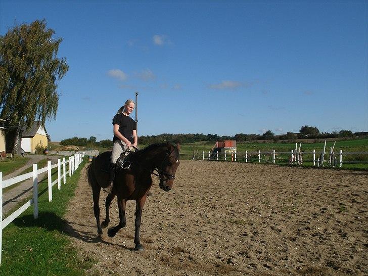 Traver Regitze Højgård R.I.P - 30/09-2010 Regitze og jeg træner dressur . (:  billede 13