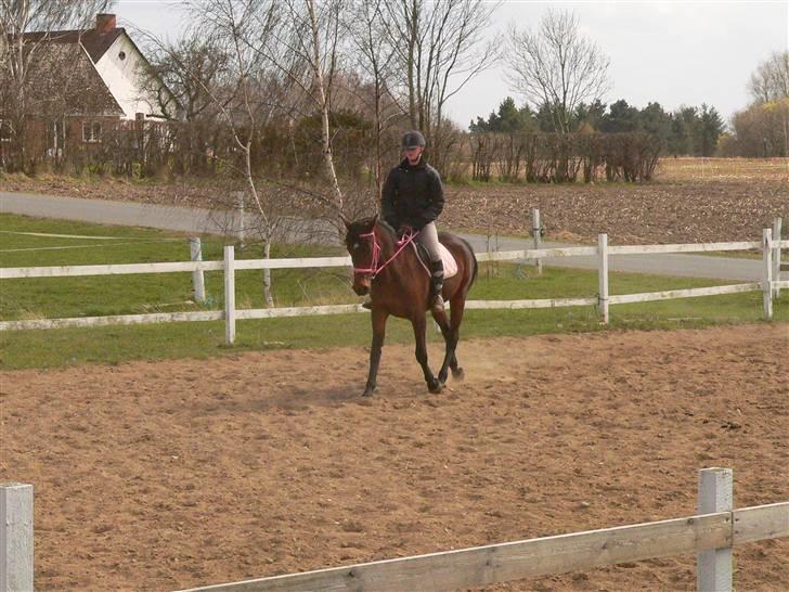 Traver Regitze Højgård R.I.P - Regitze og jeg opvarmer til spring 17/4-2010 billede 14