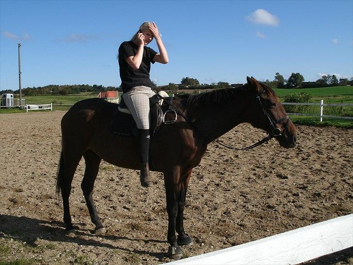 Traver Regitze Højgård R.I.P - 30/09-2010 Regitze og jeg træner dressur . (:  billede 15