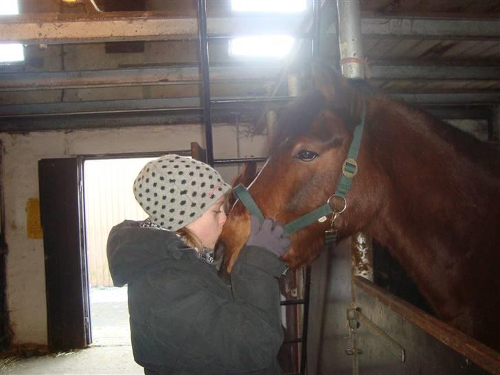 Anden særlig race Basil billede 6