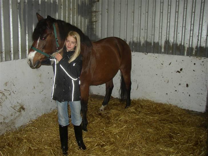 New Forest Stardust  - Første gang <3 (oktober 08) billede 4