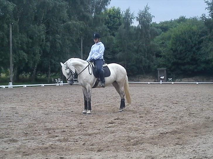 DSP Snekkerups Maja - smukke!:D billede 1