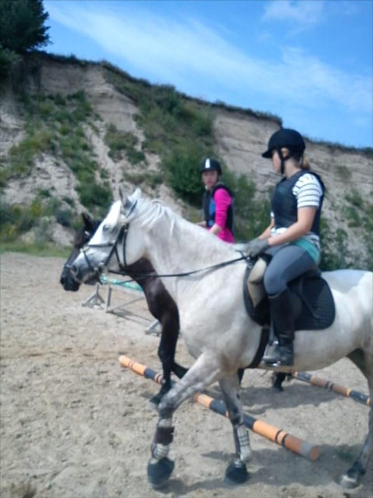 DSP Snekkerups Maja - til spring i sommers :* billede 2