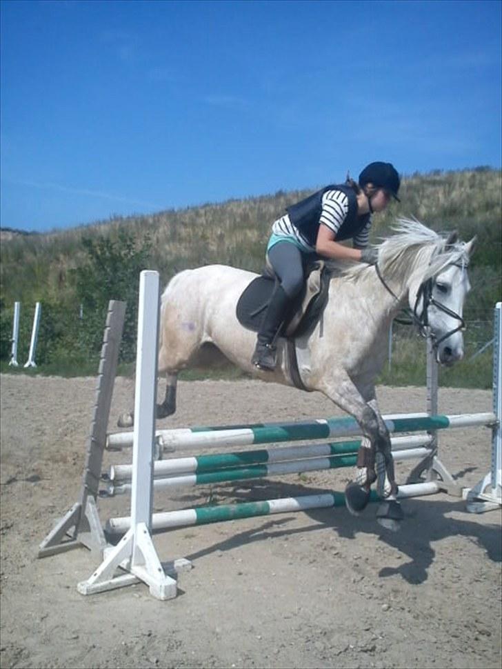 DSP Snekkerups Maja billede 3