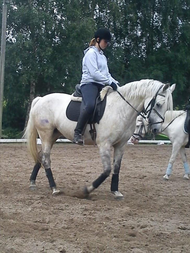 DSP Snekkerups Maja billede 4