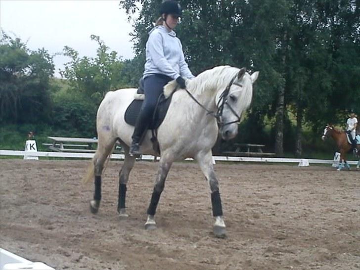 DSP Snekkerups Maja billede 5