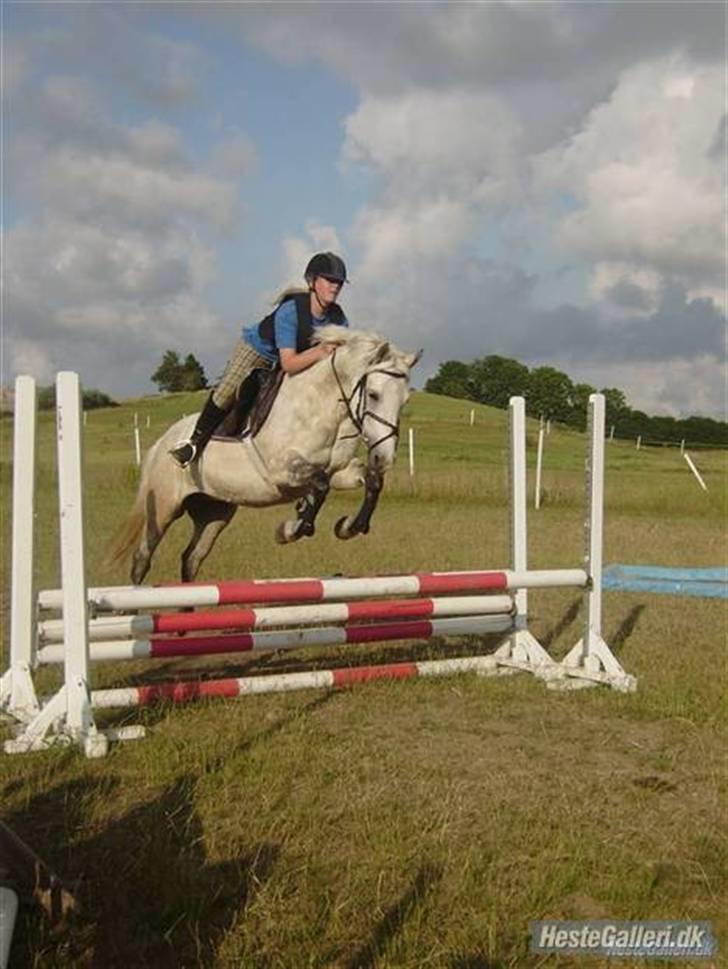 DSP Snekkerups Maja billede 6