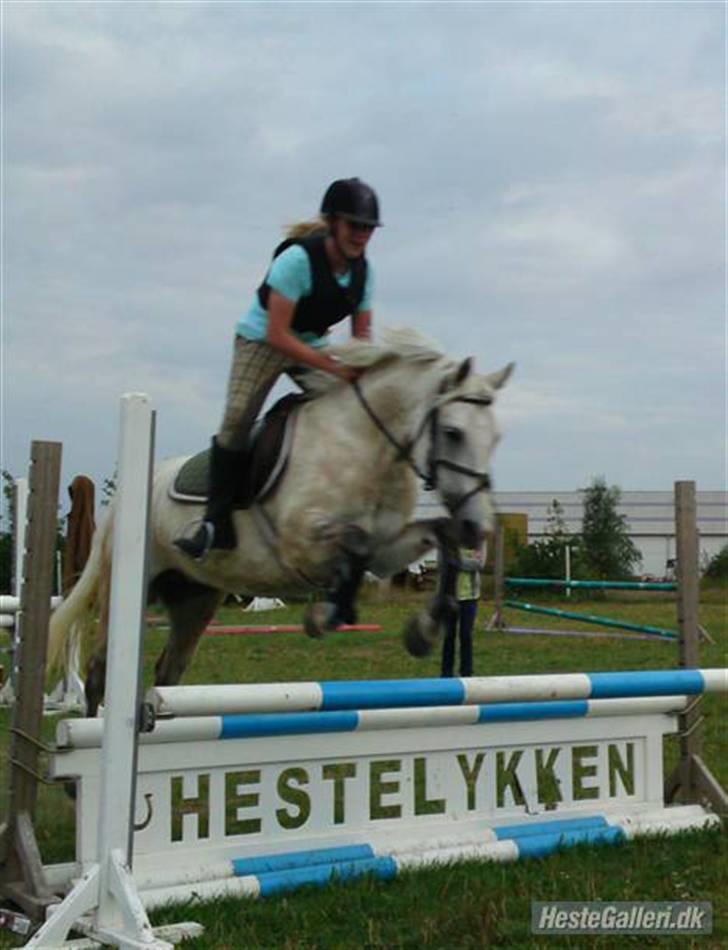 DSP Snekkerups Maja billede 7