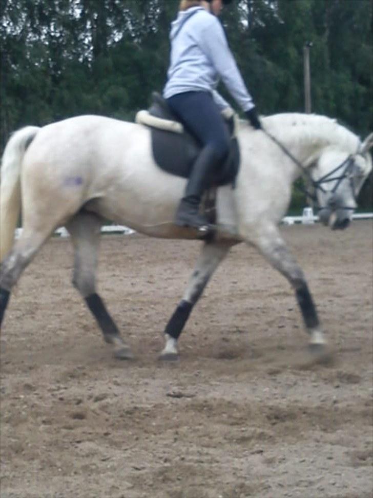 DSP Snekkerups Maja billede 8