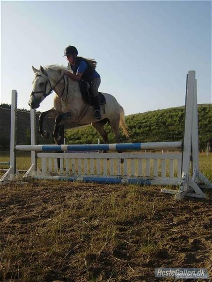 DSP Snekkerups Maja billede 9