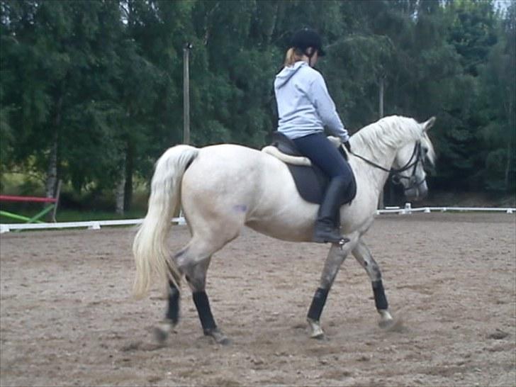 DSP Snekkerups Maja billede 10