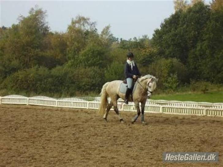 DSP Snekkerups Maja billede 13