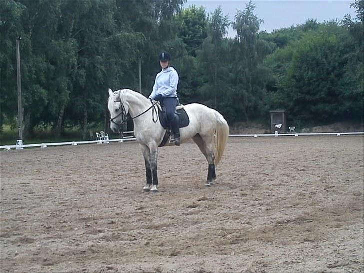 DSP Snekkerups Maja billede 14