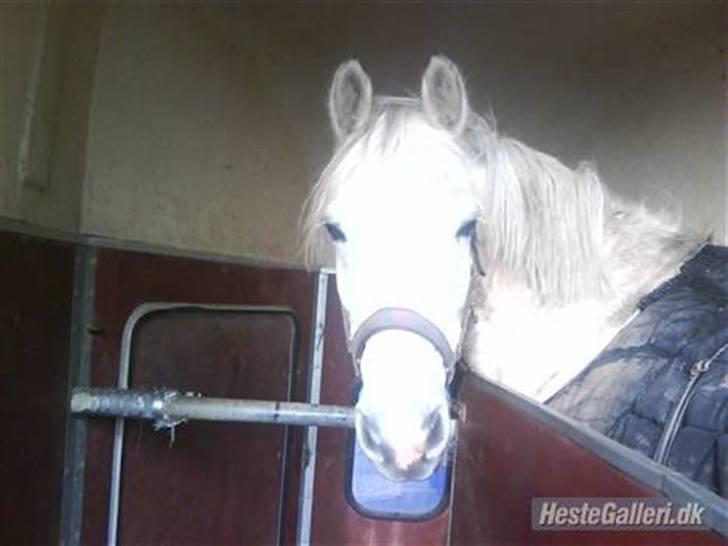 DSP Snekkerups Maja billede 15