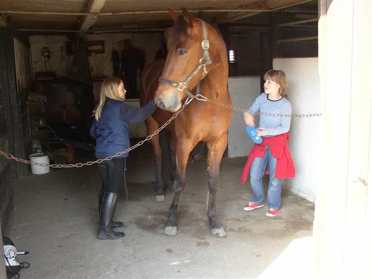 Traver Farina - mig og julie det strigler hende (: billede 4