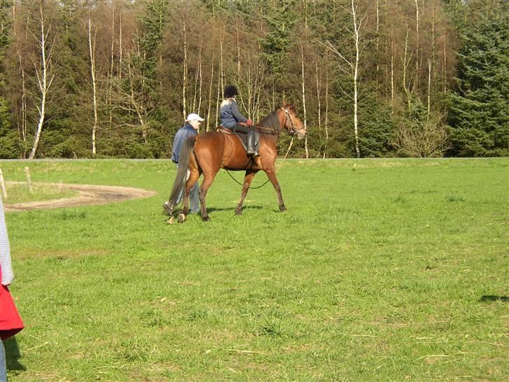 Traver Farina - os en af de første gange (2006) billede 5