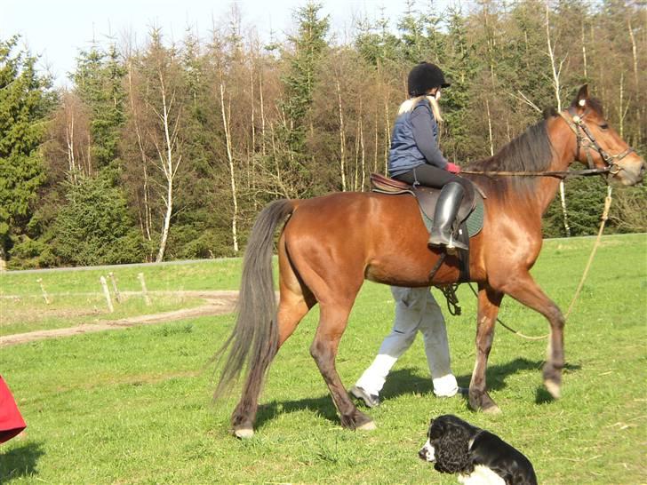 Traver Farina - Mig og Farina <3 billede 6