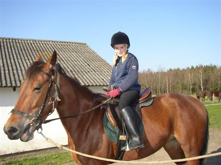 Traver Farina - Mig og Farina <3 billede 7